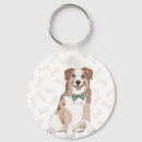 Pesquisar por shepard australiano Cachorrinho