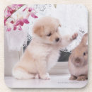 Pesquisar por orelha porta copos Amizade