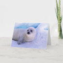 Pesquisar por mamíferos marinhos cartoes Vida selvagem