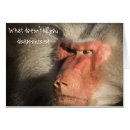 Pesquisar por macacos Engraçado