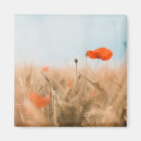 Pesquisar por wildflowers imas Planta