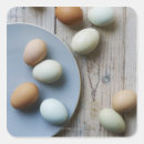 Pesquisar por nutriente adesivos Nutrição