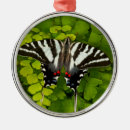 Pesquisar por andorinhas ornamentos Borboleta