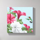 Pesquisar por colibri impressão de canvas Pássaros