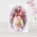 Pesquisar por 33 cartoes Rosa