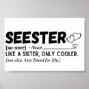 Pesquisar por sister funny Irmã