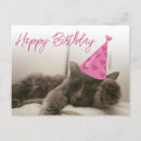 Pesquisar por gato humor cartoes Foto