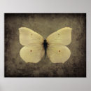 Pesquisar por borboleta vintage pôsteres Mariposa