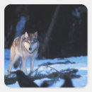 Pesquisar por lobo cinzento adesivos Neve