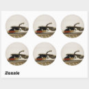 Pesquisar por lp adesivos Fonógrafo