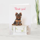 Pesquisar por yorkshire cartoes Pup