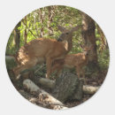 Pesquisar por mãe natureza adesivos Fotografia