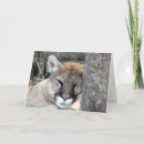 Pesquisar por infeliz cartoes Rabugento