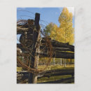 Pesquisar por oeste americano cartoes postais Fazenda