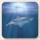 Pesquisar por tubarão porta copos Mar