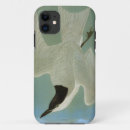 Pesquisar por audubon iphone capas Pintura do pássaro