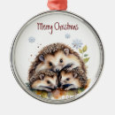 Pesquisar por hedgehog ornamentos Animal