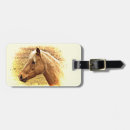 Pesquisar por cavalo bagagem tags Equestre
