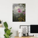 Pesquisar por orquídea cattleya pôsteres Martin johnson heade