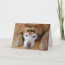 Pesquisar por esquecer cartoes Engraçado