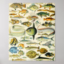 Pesquisar por science pôsteres Biology