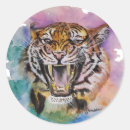 Pesquisar por tigre colorido adesivos Aquarela