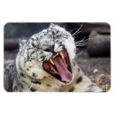 Pesquisar por rosnadura Gato selvagem