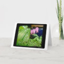 Pesquisar por noroeste cartoes Fotografia