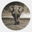 Pesquisar por wildlife adesivos Animal