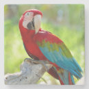 Pesquisar por macaw porta copos Azul