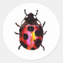Pesquisar por ladybird adesivos Natureza