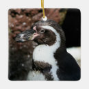 Pesquisar por pássaro preto e branco ornamentos Pinguim
