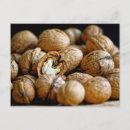 Pesquisar por noz cartoes postais Natureza