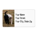 Pesquisar por cachorrinho etiquetas Cachorros