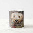 Pesquisar por morkie canecas Cão