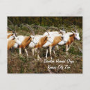 Pesquisar por oryx cartoes postais Animais