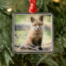 Pesquisar por raposa ornamentos Floresta