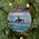 Pesquisar por orca ornamentos Peixe