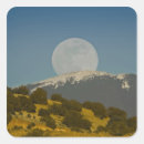 Pesquisar por cristas adesivos Azul