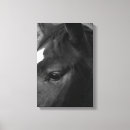 Pesquisar por cavalo branco impressão de canvas Preto
