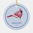 Pesquisar por cardinal ornamentos Aquarela