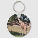 Pesquisar por corrente chave do jardim Natureza