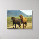 Pesquisar por imagens animais impressão de canvas Cavalo