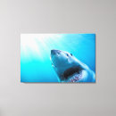 Pesquisar por tubarão impressão de canvas Peixe