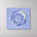 Pesquisar por micrografia impressão de canvas Floco de neve