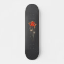 Pesquisar por escala skates Legal