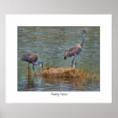 Pesquisar por pintinhos fotografia Animais selvagens
