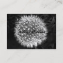 Pesquisar por dentes leão de cartao de visita Natureza