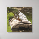 Pesquisar por montana impressão de canvas Refúgio