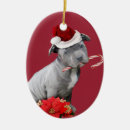 Pesquisar por touro vermelho ornamentos Feriado